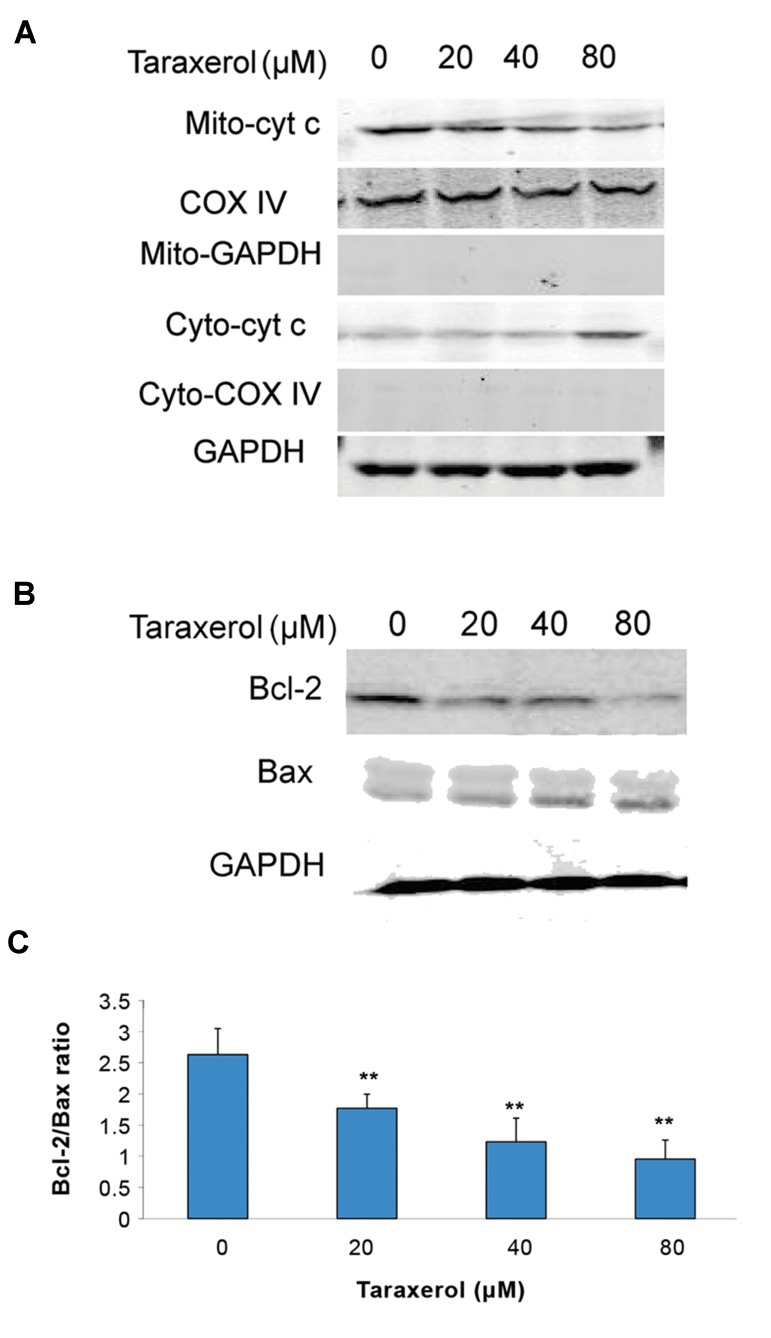 Fig.4