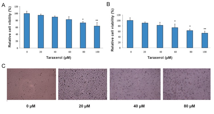 Fig.1