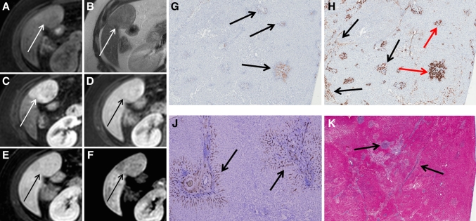 Fig. 6