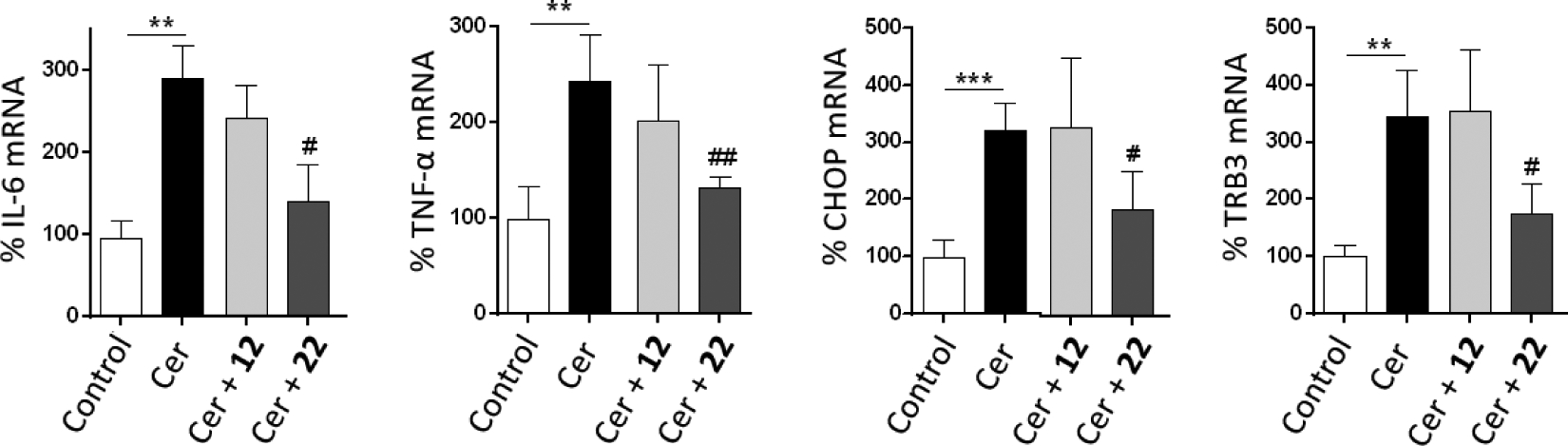 Figure 4: