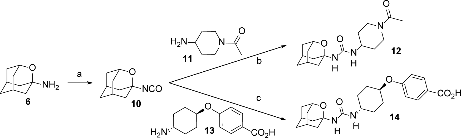 Scheme 2.