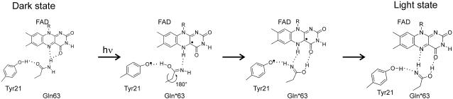 FIGURE 4