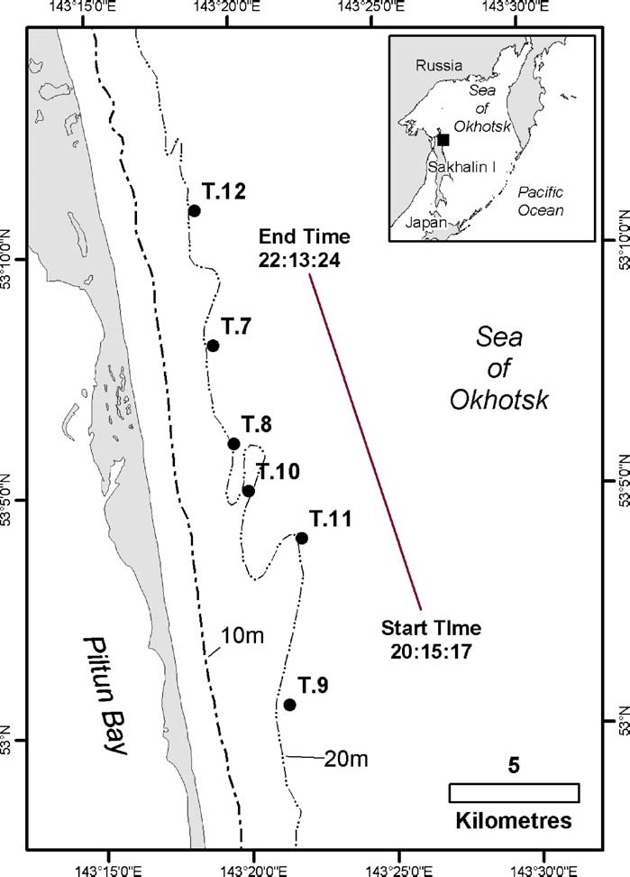 Fig. 19