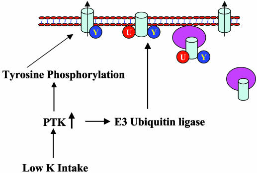 Fig. 9.