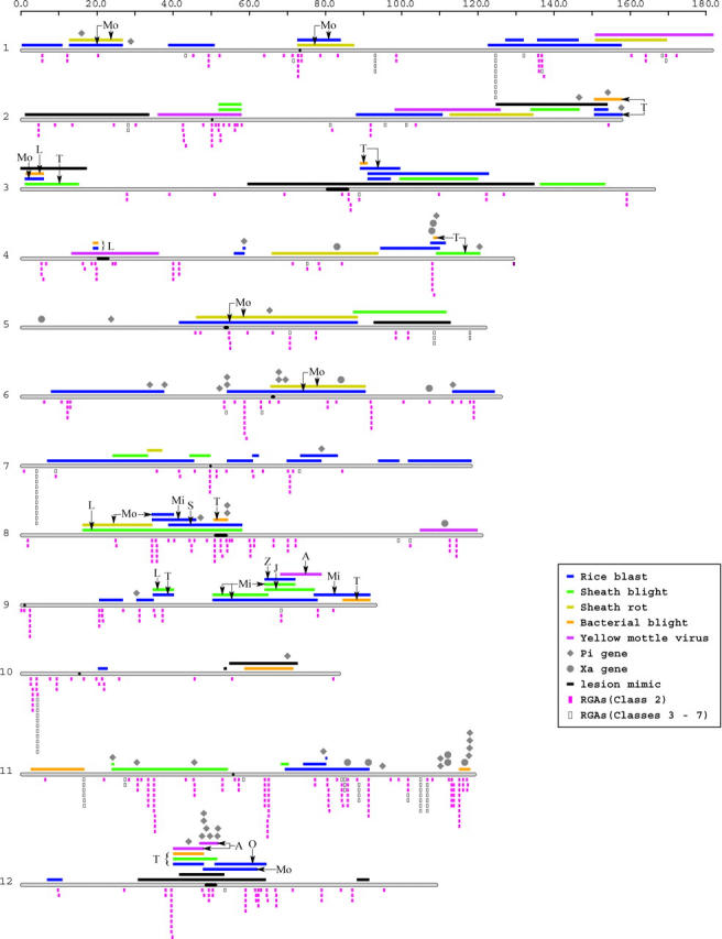 Figure 1.—