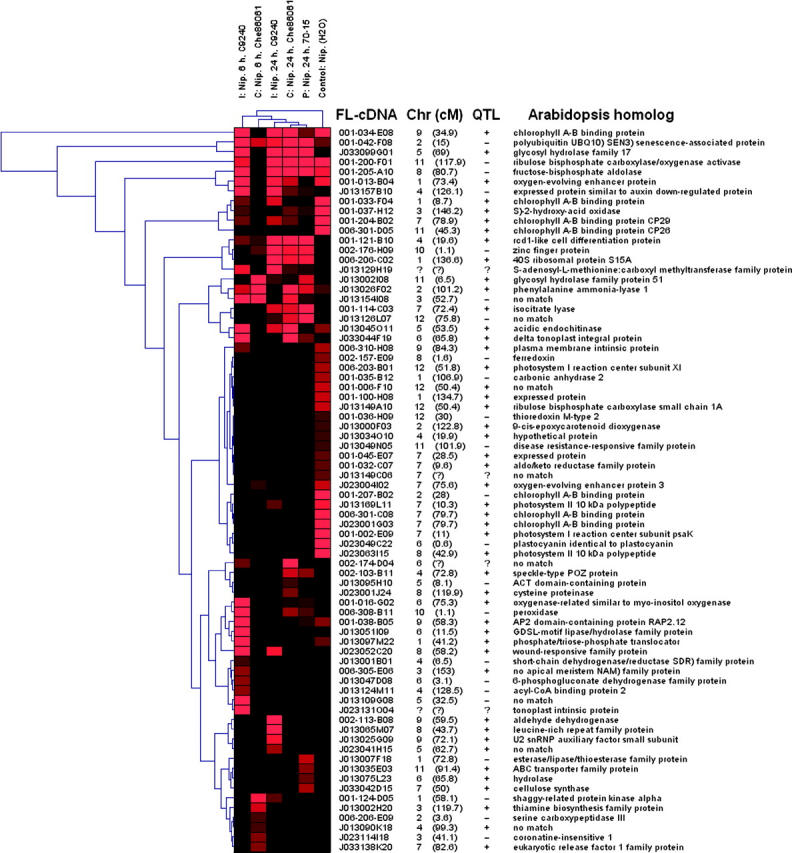 Figure 3.—