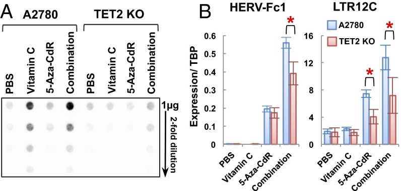 Fig. 6.