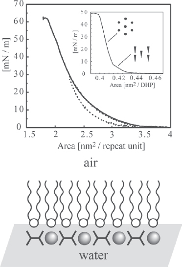 Figure 21