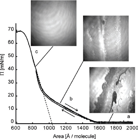 Figure 30