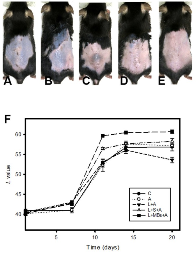 Figure 9