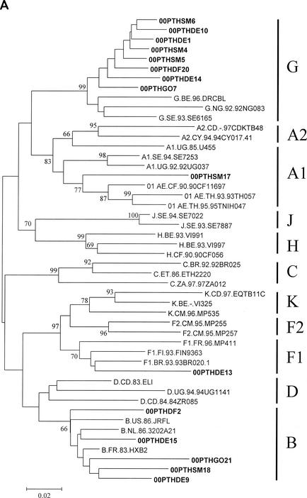 FIG. 1.