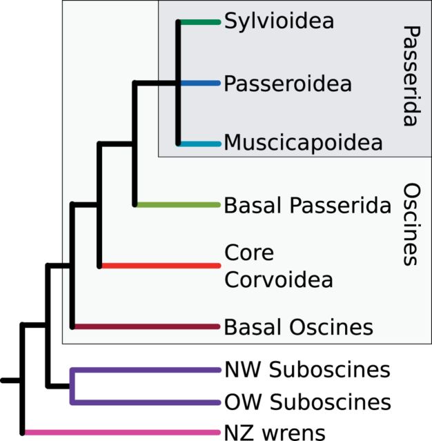 Fig. 1.—