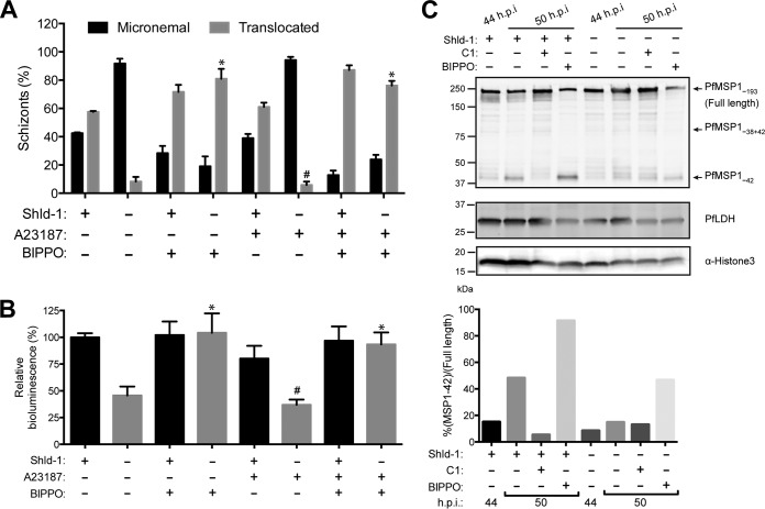 FIG 4 