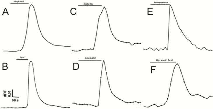 Figure 8.