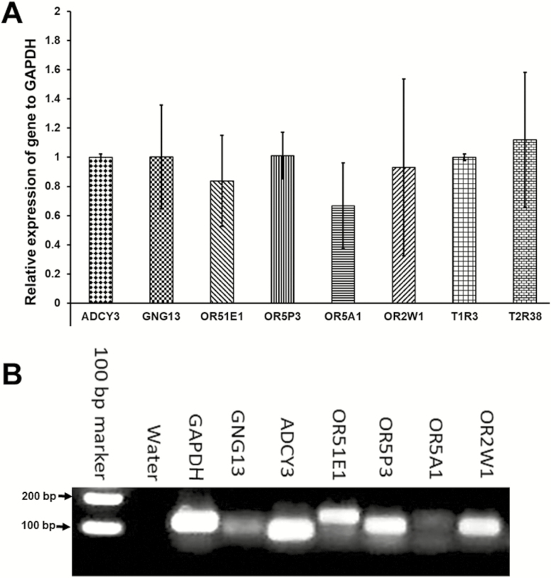 Figure 6.