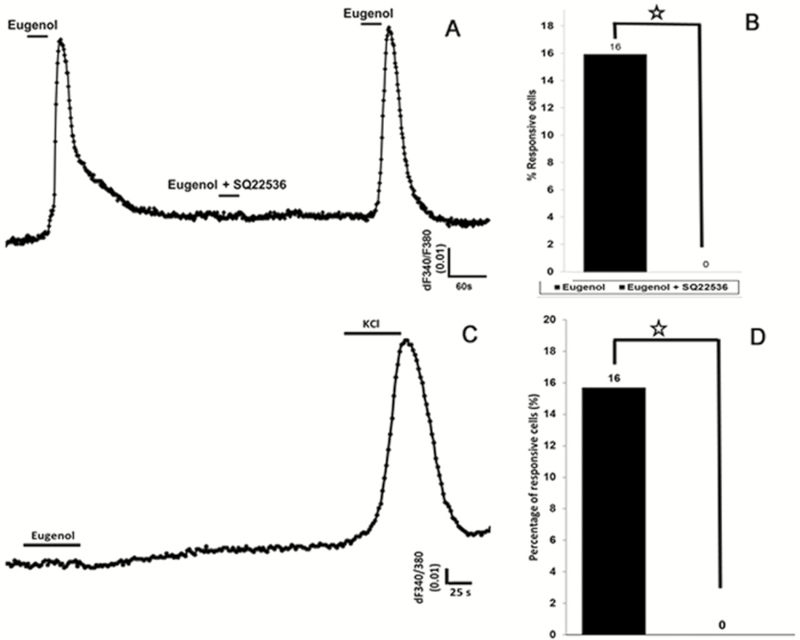 Figure 11.