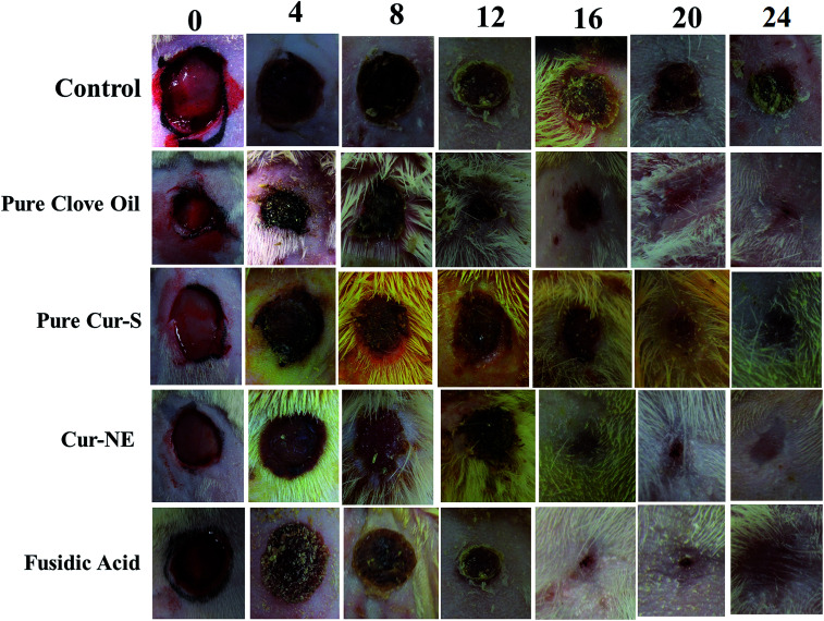 Fig. 7