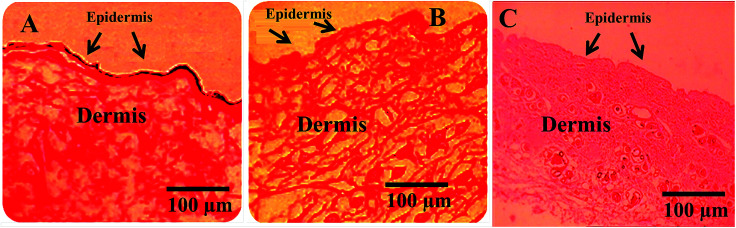 Fig. 10