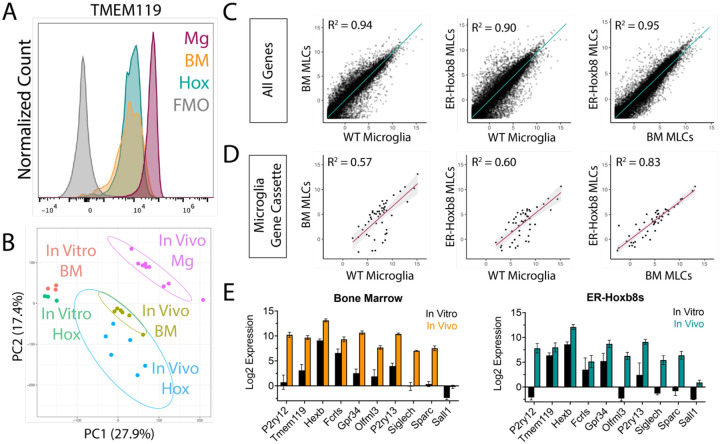 Figure 3: