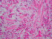 Figure 5)
