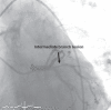 Figure 3)