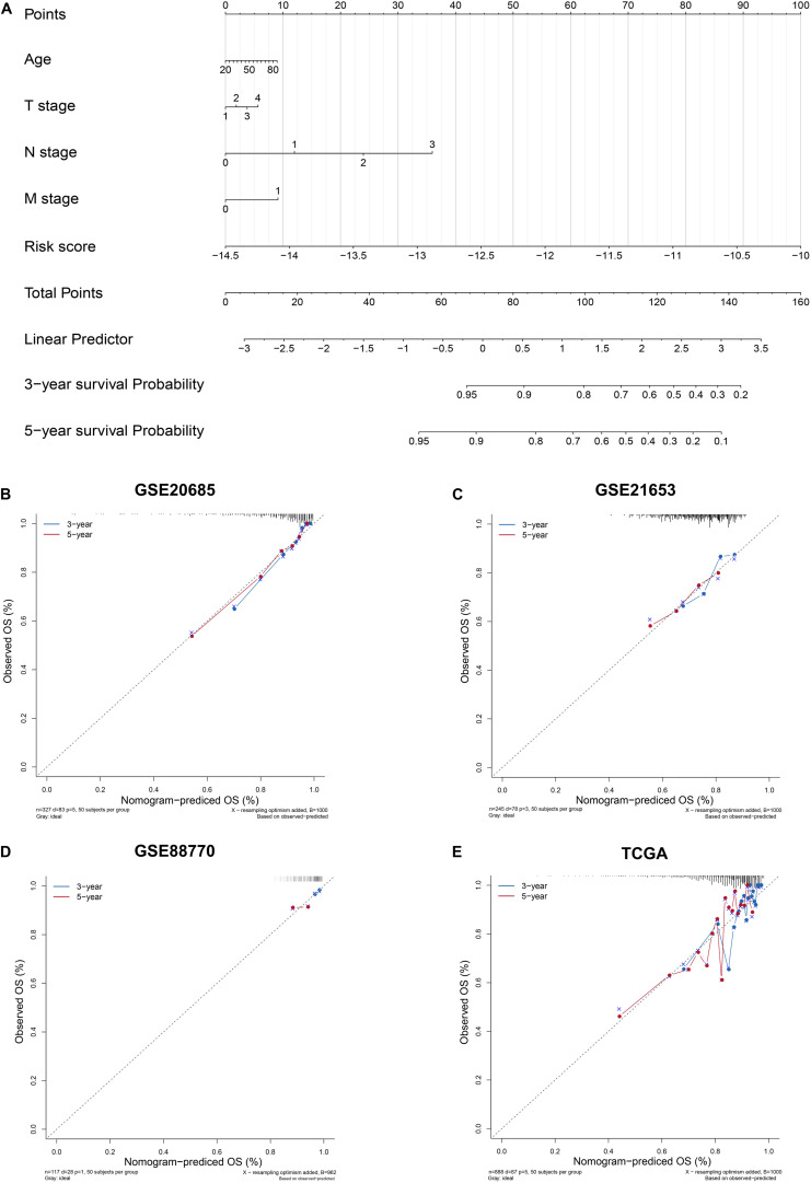 FIGURE 4