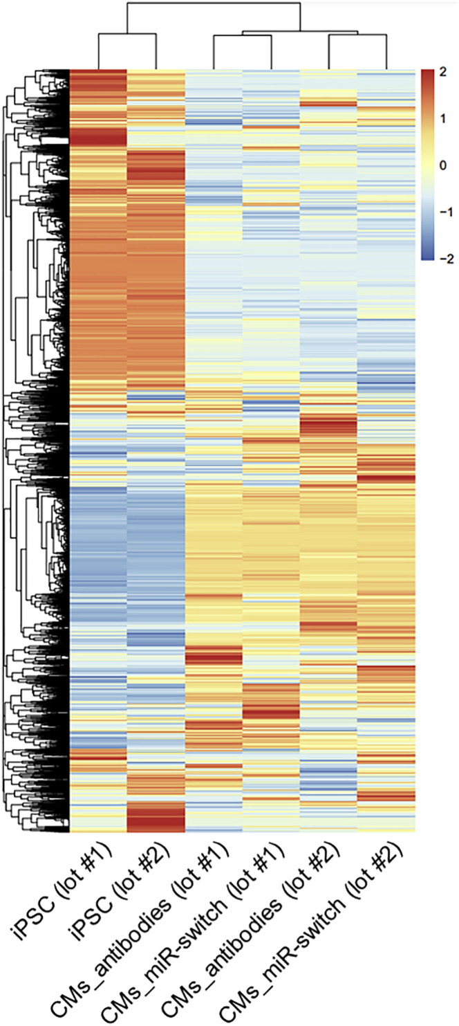 Figure 4