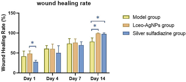 FIGURE 11