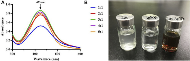 FIGURE 1