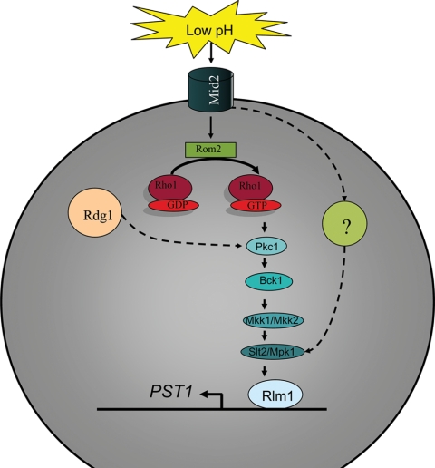 FIG. 3.