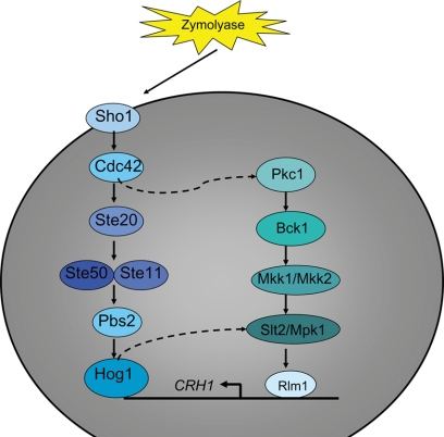 FIG. 6.