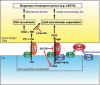 FIGURE 10: