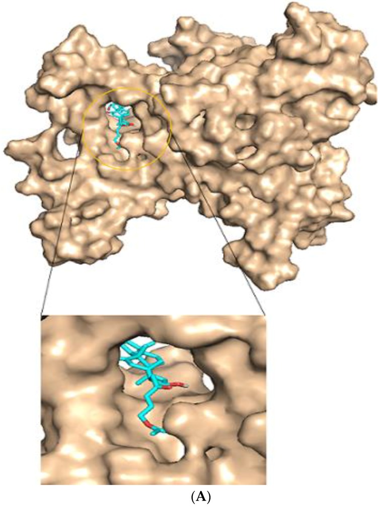 Figure 9