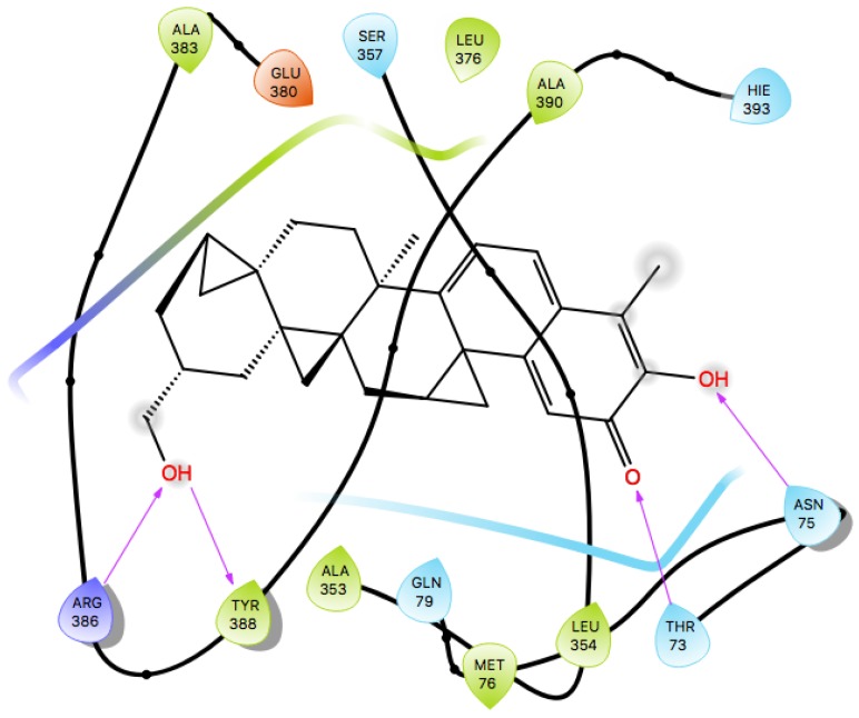 Figure 11