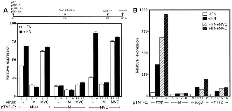 FIG. 4