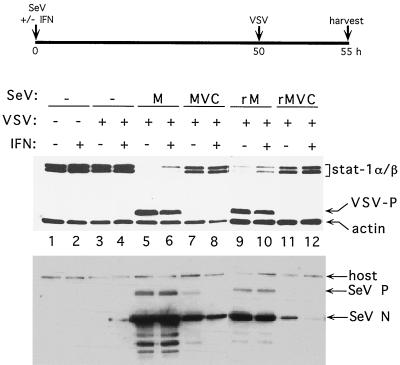 FIG. 5