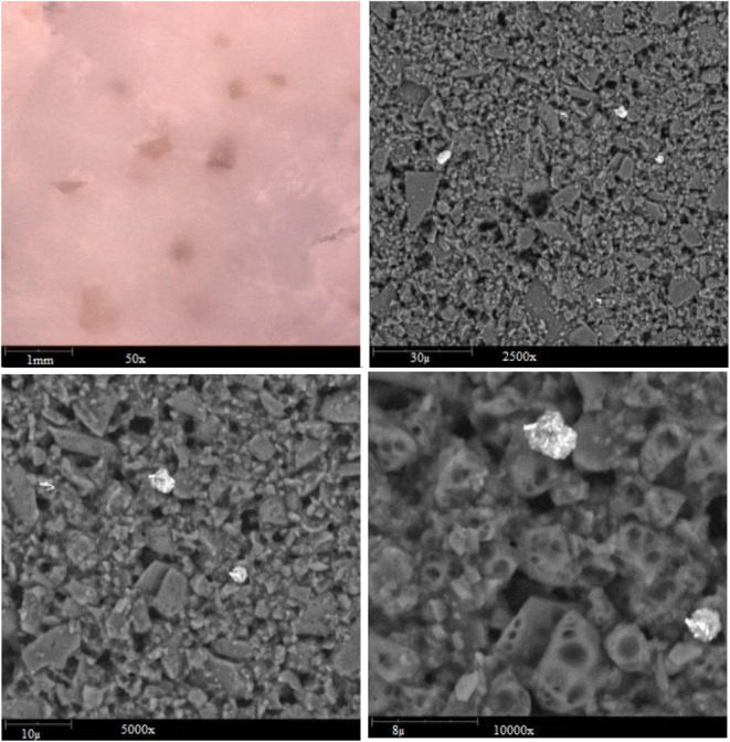 FIGURE 10