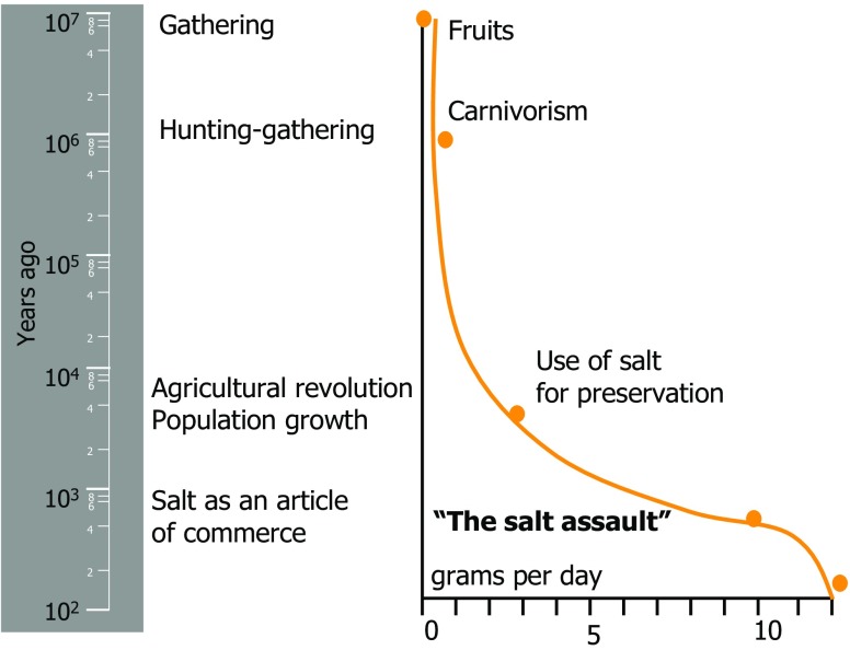 Fig. 2