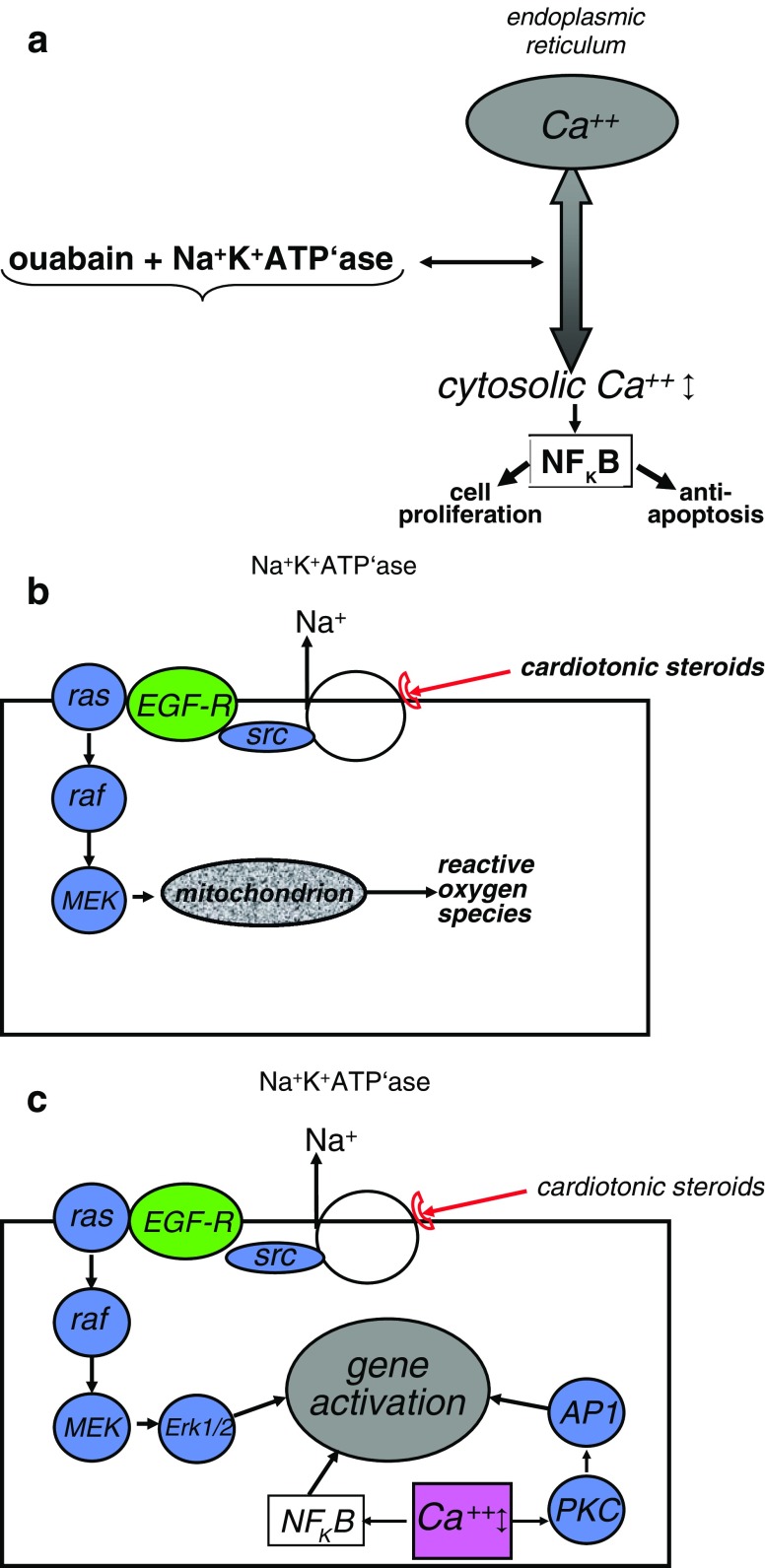 Fig. 3