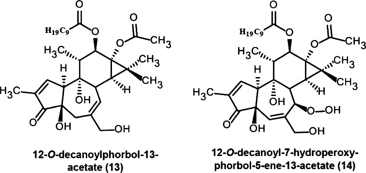 Fig. 8