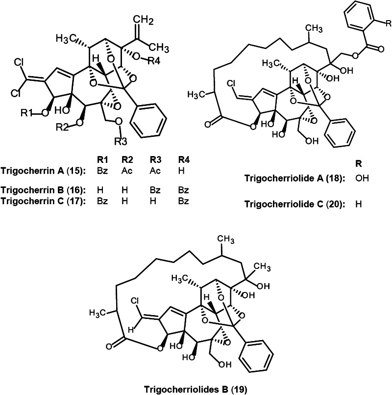 Fig. 9