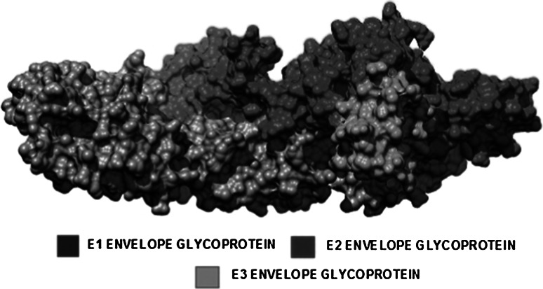 Fig. 5