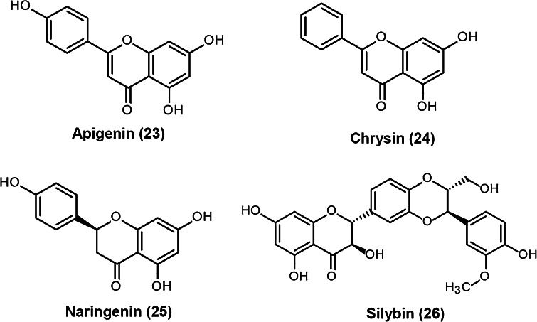 Fig. 12