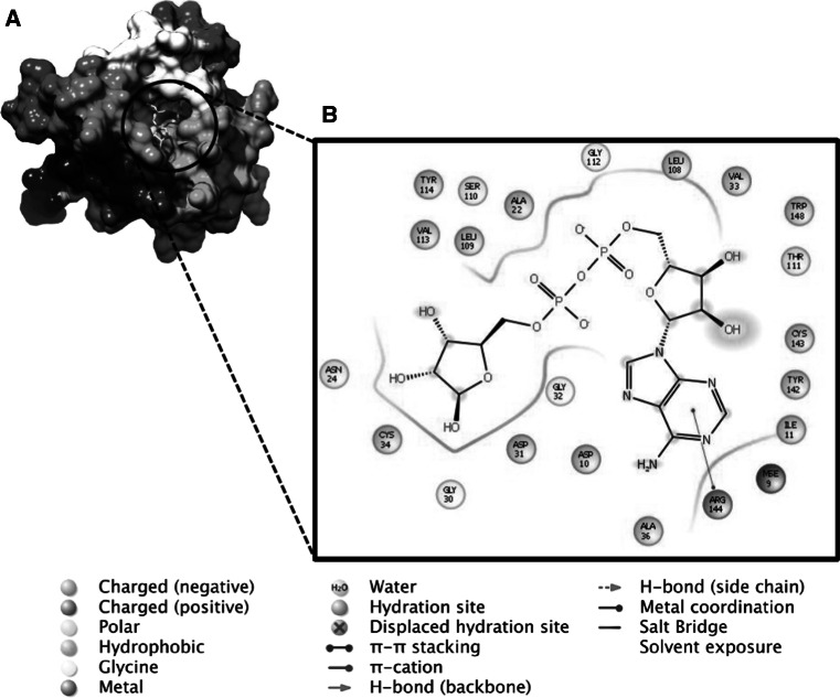 Fig. 4