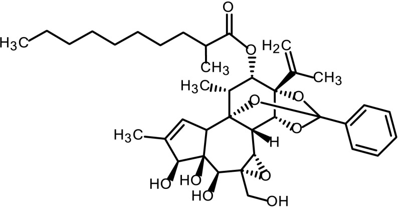 Fig. 13