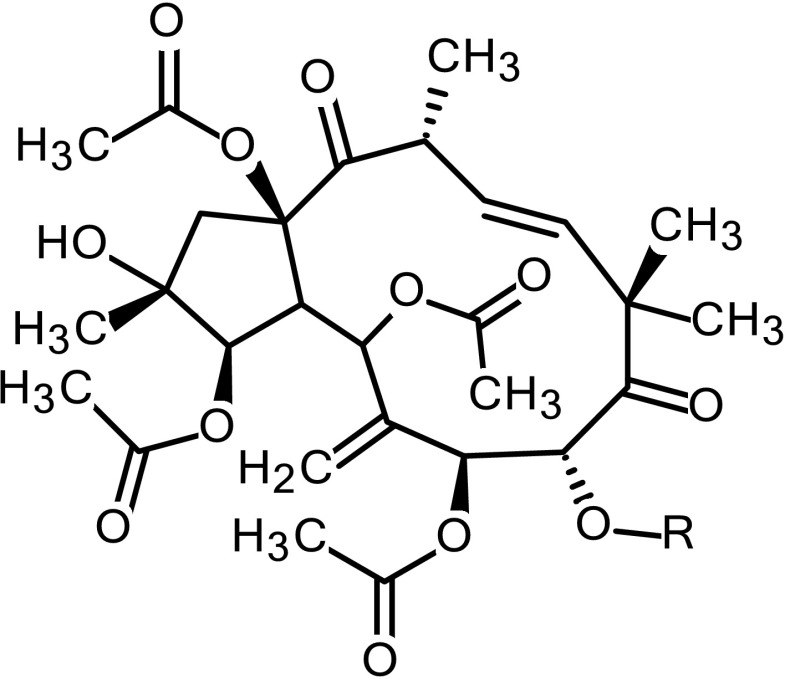 Fig. 14