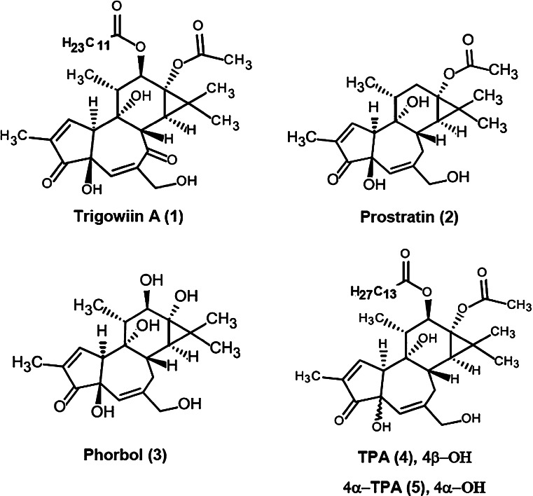 Fig. 6