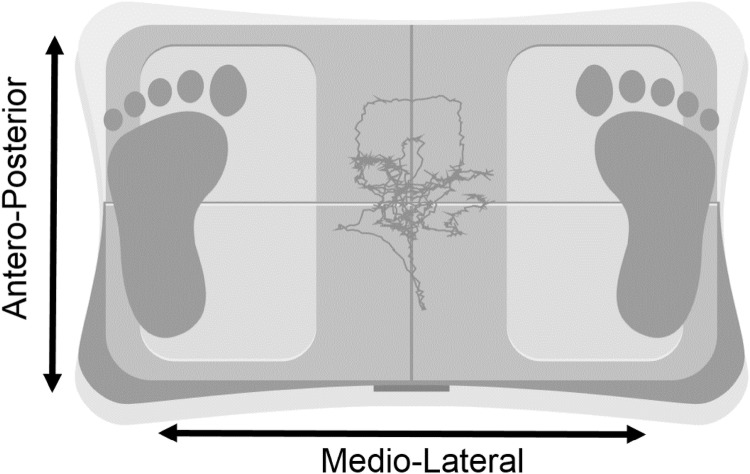 Fig. 1