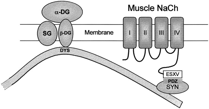 Fig. 9.