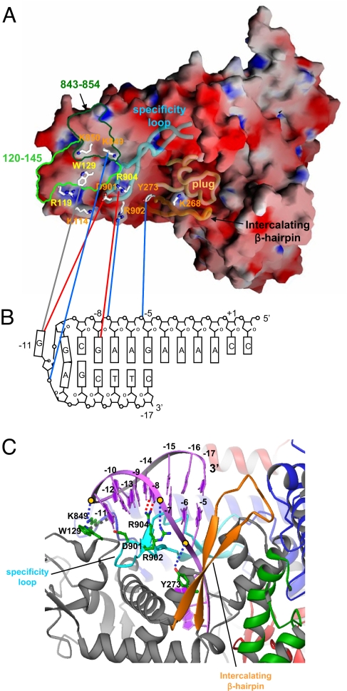 Fig. 4.